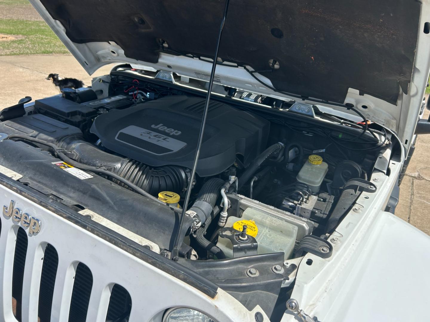 2013 White /BLACK Jeep Wrangler SAHARA (1C4BJWEG5DL) with an 3.6L V6 engine, AUTOMATIC transmission, located at 17760 Hwy 62, Morris, OK, 74445, (918) 733-4887, 35.609104, -95.877060 - Photo#21